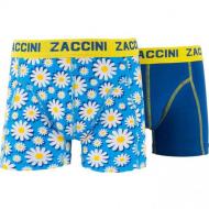Zaccini boxers thumbnail
