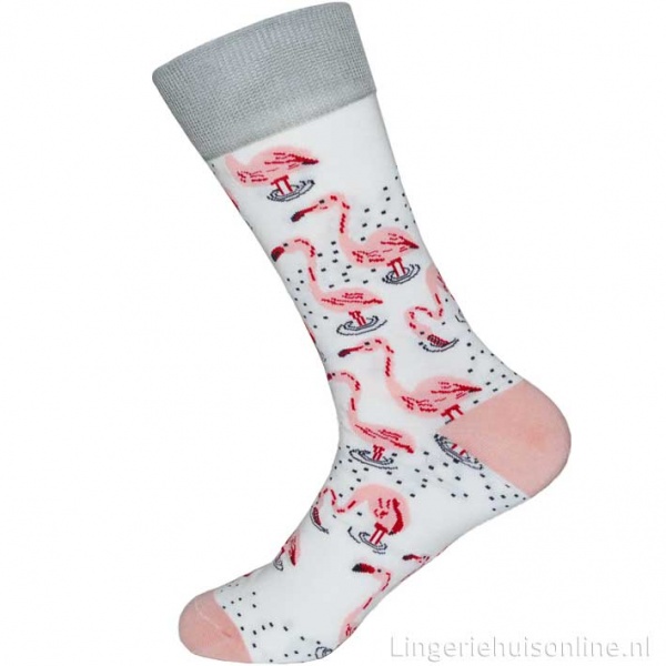 bodem Kietelen zoom Dutch pop socks sokken flamingo sk-007 | Lingeriehuisonline