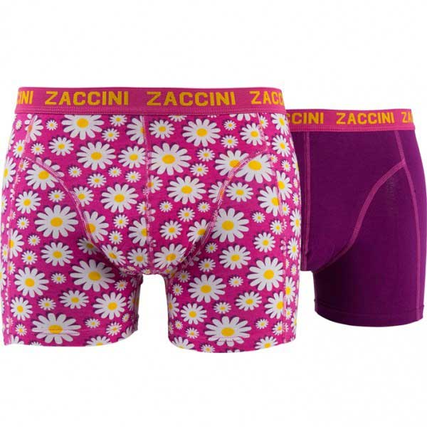 Zaccini boxers |